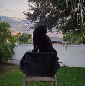 Meet your Posher, Helen